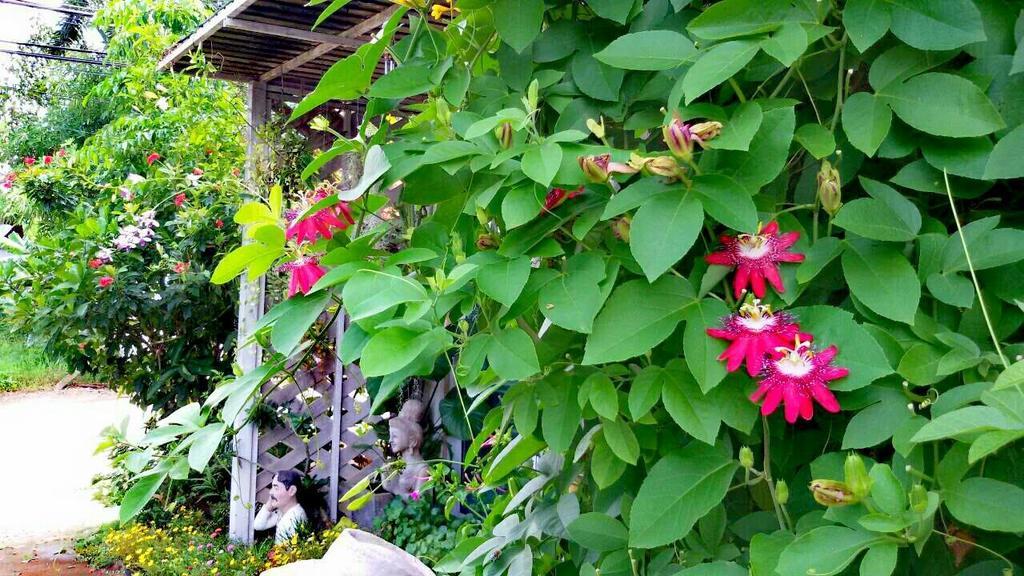 Lampang Lanna Home Exteriör bild