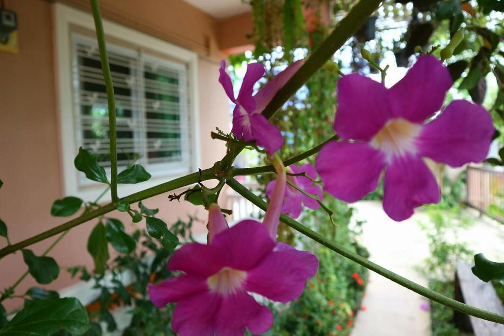 Lampang Lanna Home Exteriör bild
